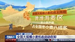 由南向北开镰 全国大规模小